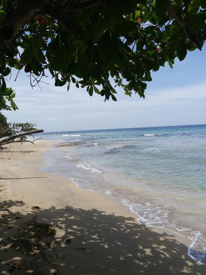 Hostal Cecilia Puerto Viejo de Talamanca Eksteriør bilde