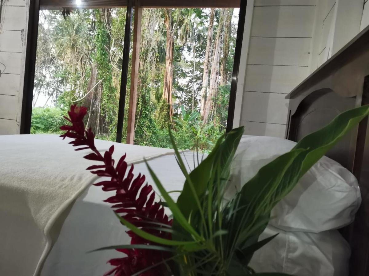 Hostal Cecilia Puerto Viejo de Talamanca Eksteriør bilde