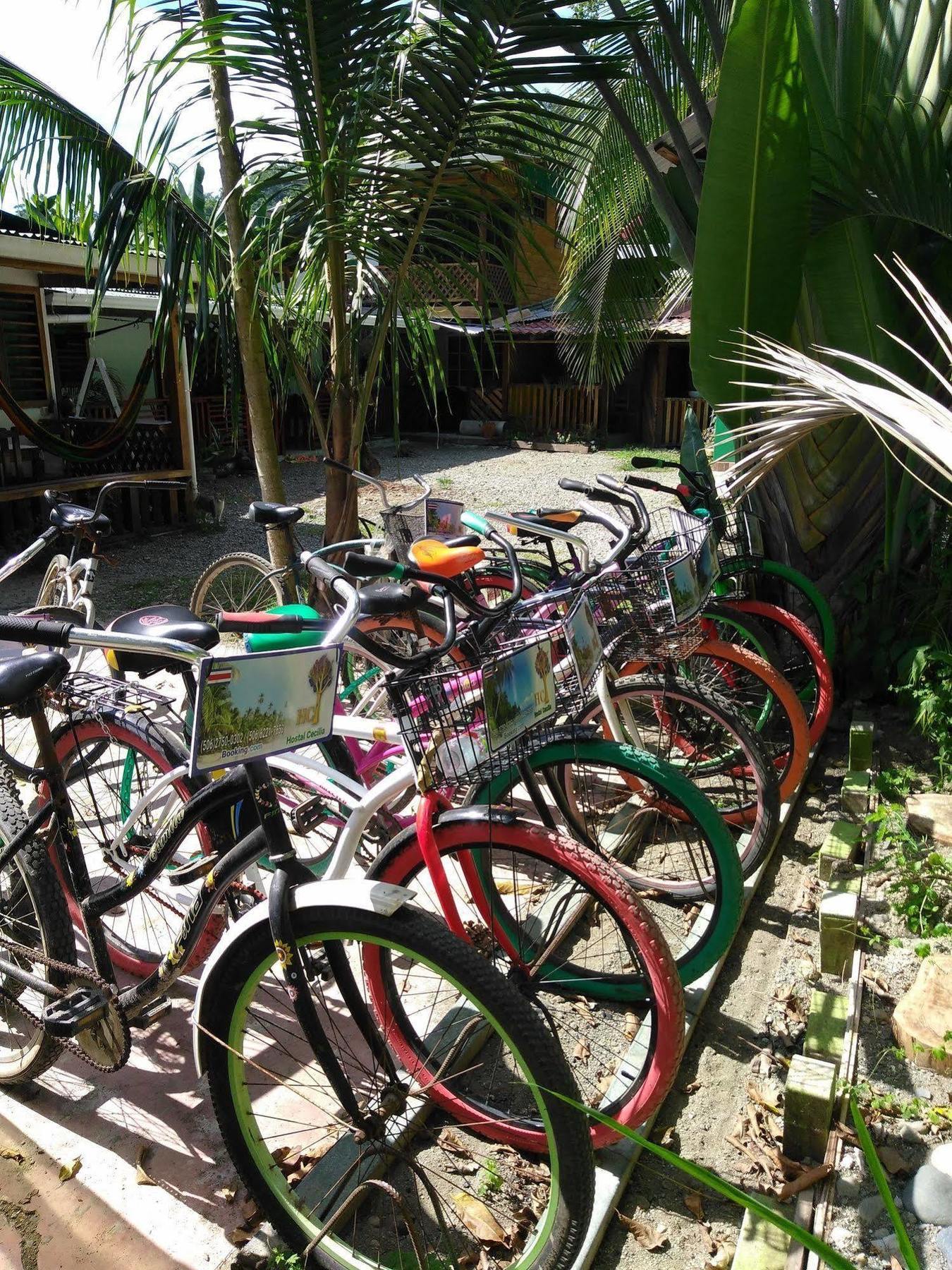 Hostal Cecilia Puerto Viejo de Talamanca Eksteriør bilde