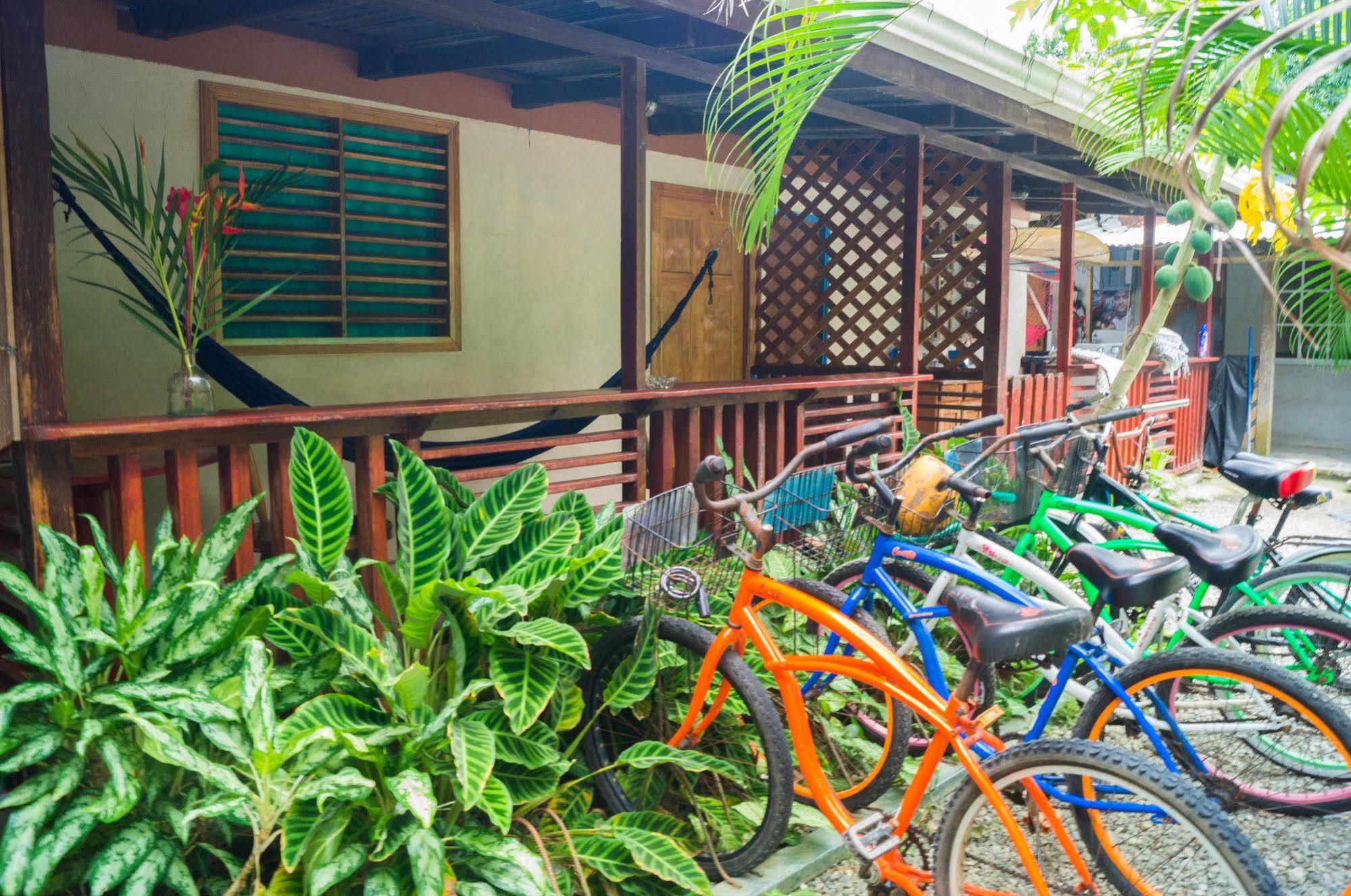 Hostal Cecilia Puerto Viejo de Talamanca Eksteriør bilde
