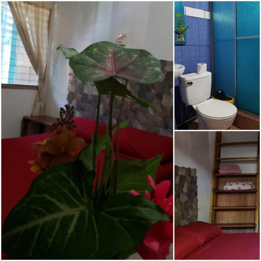 Hostal Cecilia Puerto Viejo de Talamanca Eksteriør bilde